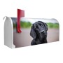Weißer US Briefkasten mit Labrador Motiv 'Paolo', Stahl pulverbeschichtet, 48x22x16cm.