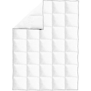 vidaXL Winter-Daunendecke 150x200 cm 132881