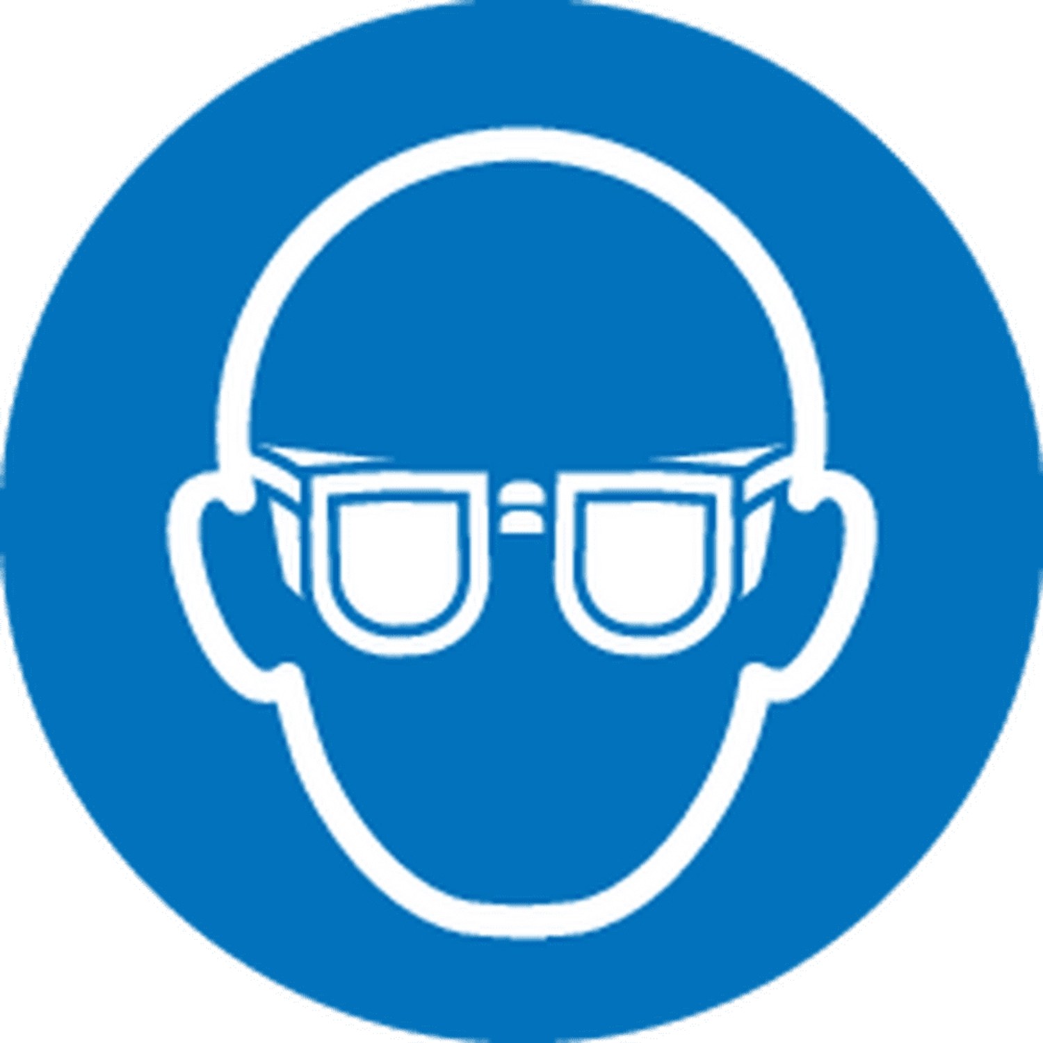 Symbol: Schutzbrille tragen bei Arbeiten mit Pferd Trennscheiben.