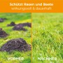 Vorher/Nachher: Wühlmaushügel im Rasen vs. gepflegter Rasen nach Anwendung der Wühlmaus Stopp-Kugeln.