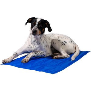 Hund liegt entspannt auf blauer Dobar Kühlmatte Gr. L aus Nylon. Ideal als Hundekissen & Hundedecke.