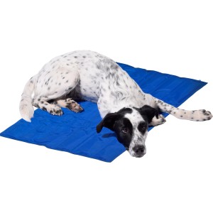 Hund liegt entspannt auf blauer Dobar Kühlmatte Gr. L aus Nylon. Ideal für heiße Tage.