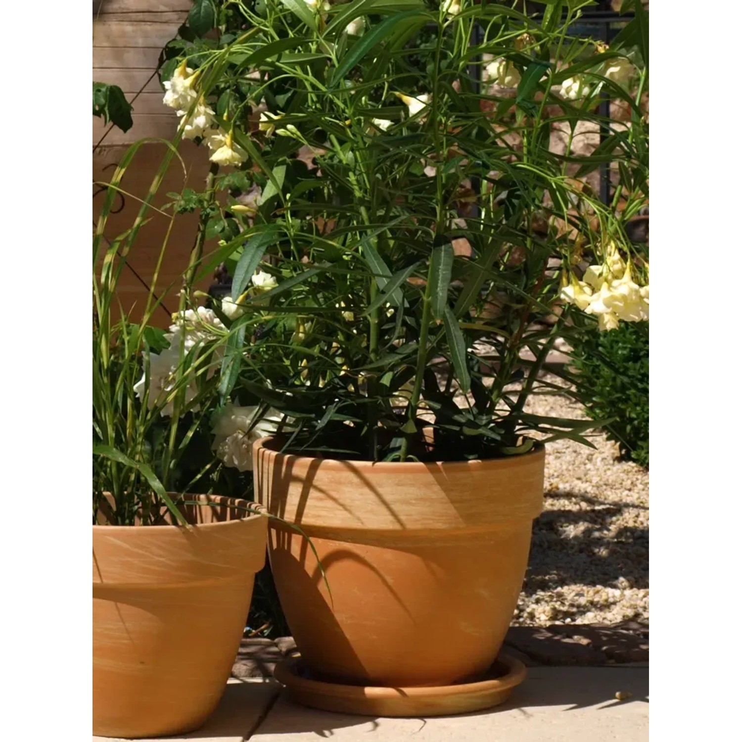 Blumentopf Terrakotta Levante 35 cm Caramel kaufen bei OBI