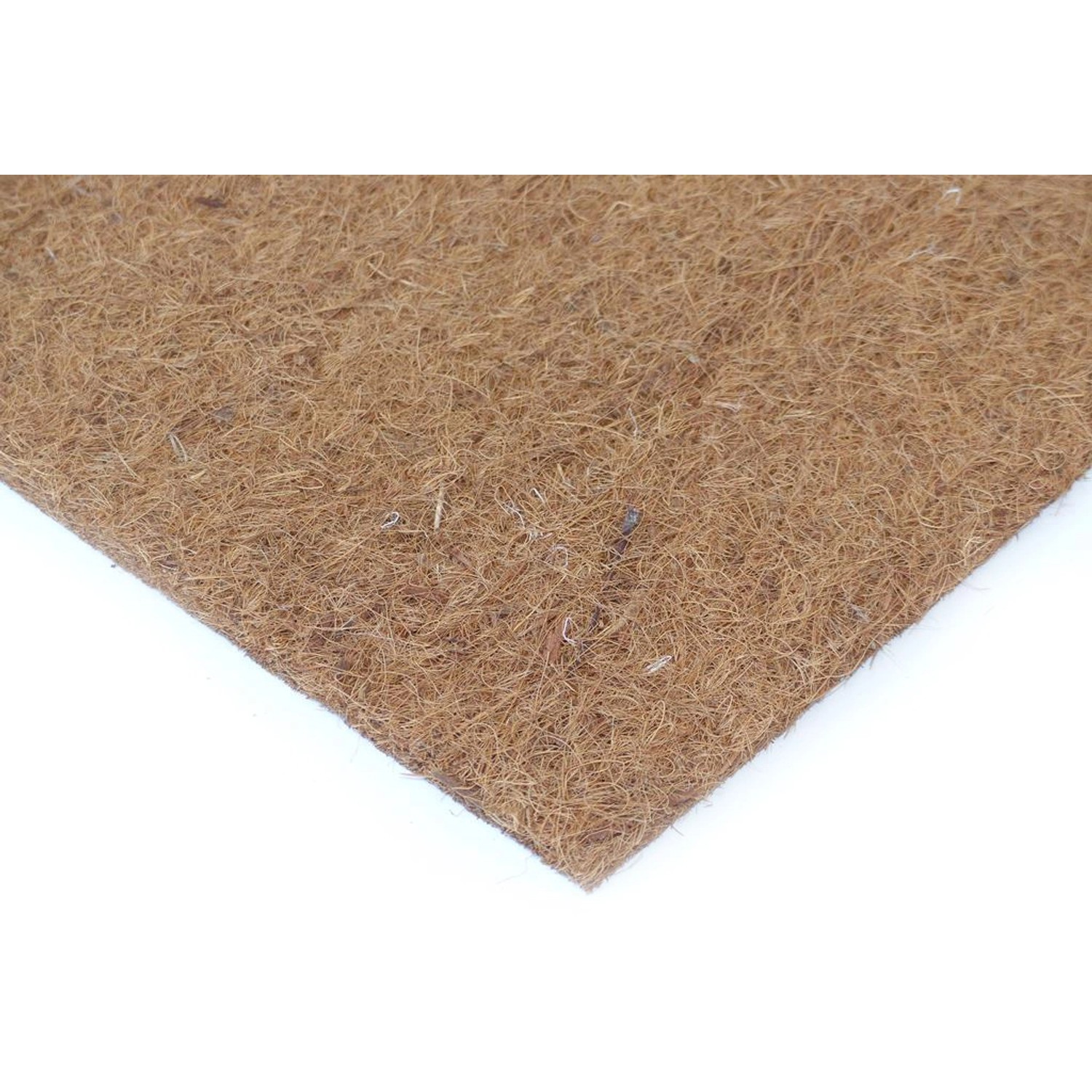 Kokosfaser Rückwand für Terrarien 40 cm x 40 cm - Natur