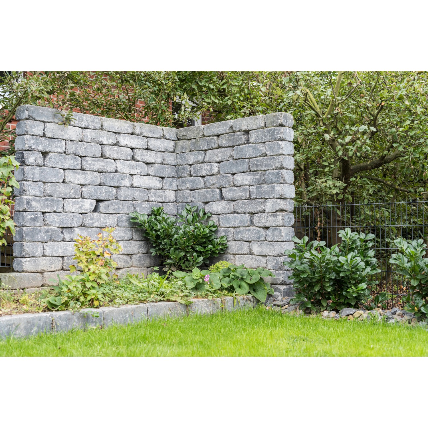 Diephaus Mauerstein Collo Basalt, graue Mauer mit Pflanzen im Garten.
