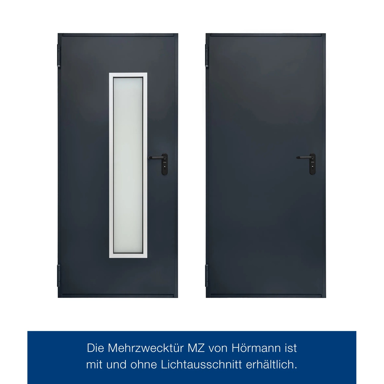 Hörmann Mehrzwecktür H8-5, anthrazitgrau, mit/ohne Lichtausschnitt. Stahltür für Keller und mehr.