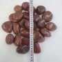 Aquagart 40kg Polierter Kiesel Flusskiesel Kieselsteine Gartenkies Zierkies Rot_5