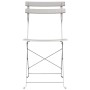 vidaXL Garten Klappstuhl 2 Stk Beige 42 x 46 x 82cm Stahl 42002959_5