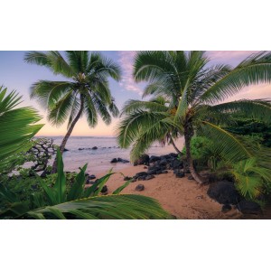 Vlies Fototapete Hawaiian Dreams: Strand mit Palmen bei Sonnenuntergang.