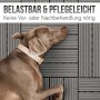 Graue WPC Bodenfliesen in Holzoptik mit Hund. Ideal für Balkon & Terrasse.