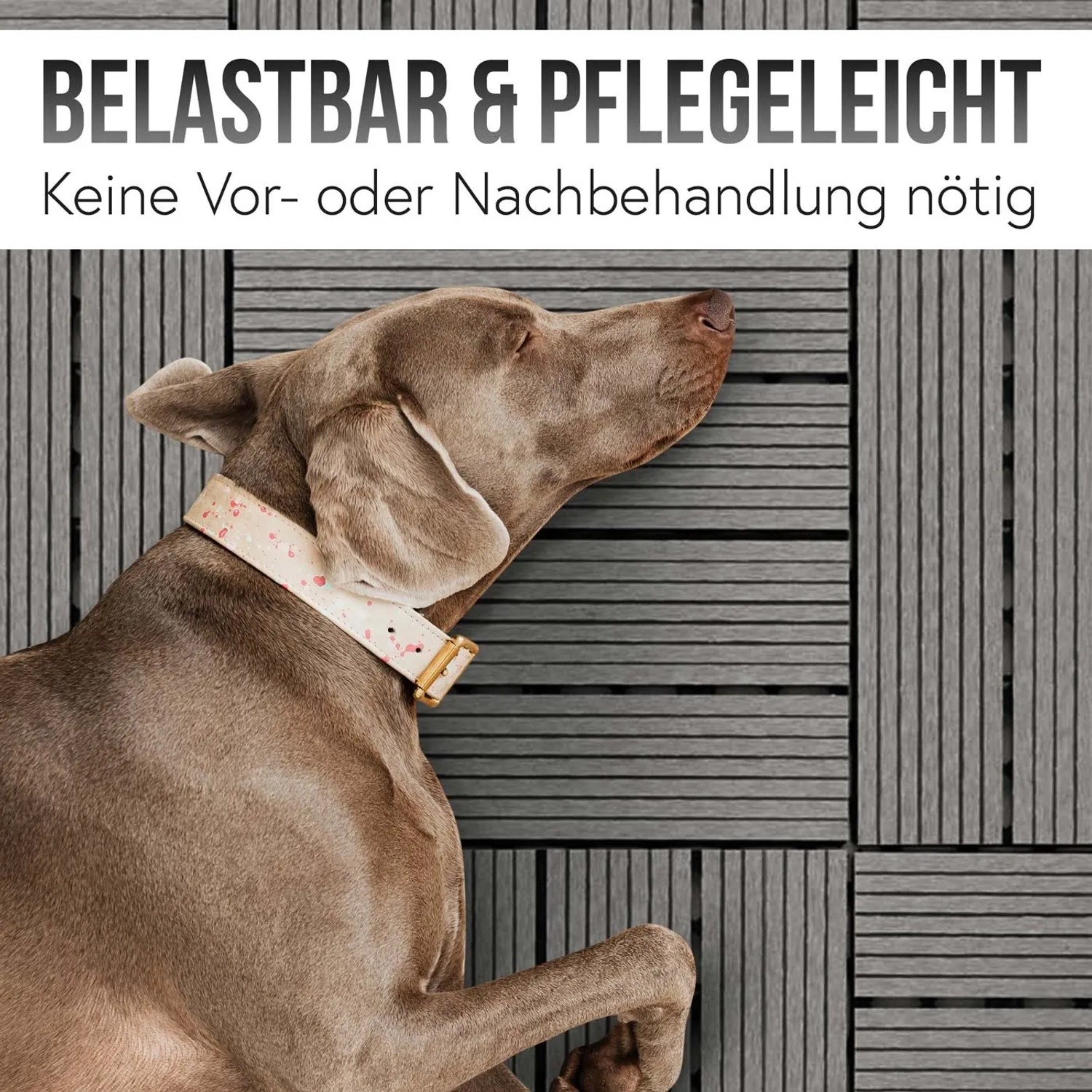 Graue WPC Bodenfliesen in Holzoptik mit Hund. Ideal für Balkon & Terrasse.
