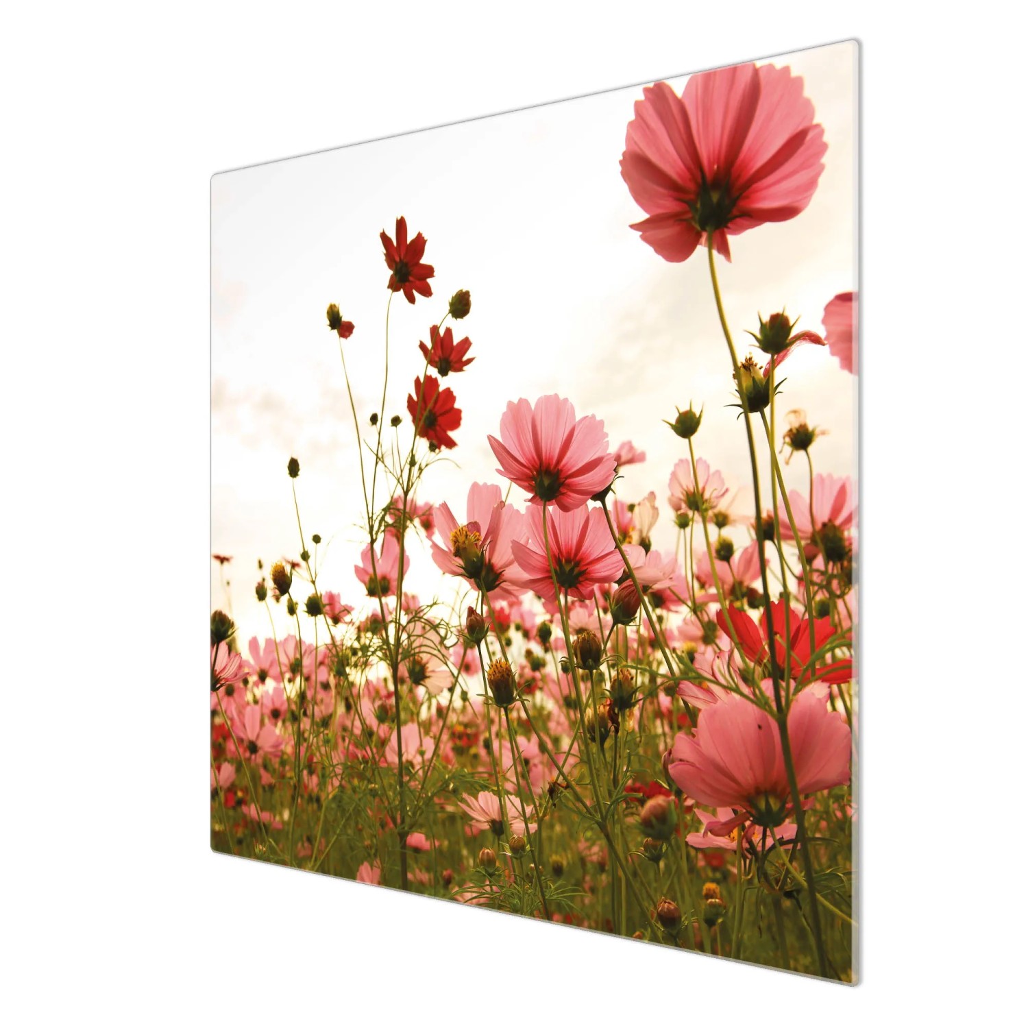 Banjado Herdabdeckplatte Glas mit Blumenmotiv, 60x52cm, auch als Schneidebrett nutzbar.