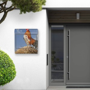Edelstahl Briefkasten mit Hahn Motiv und Zeitungsfach. Rostfreier Wandbriefkasten.