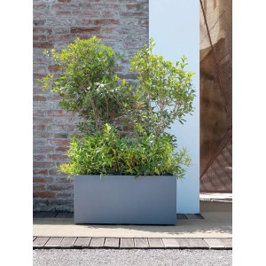 Aschgrauer Deroma Millennium Pflanzkasten (78,5 cm) mit Bepflanzung im Außenbereich.
