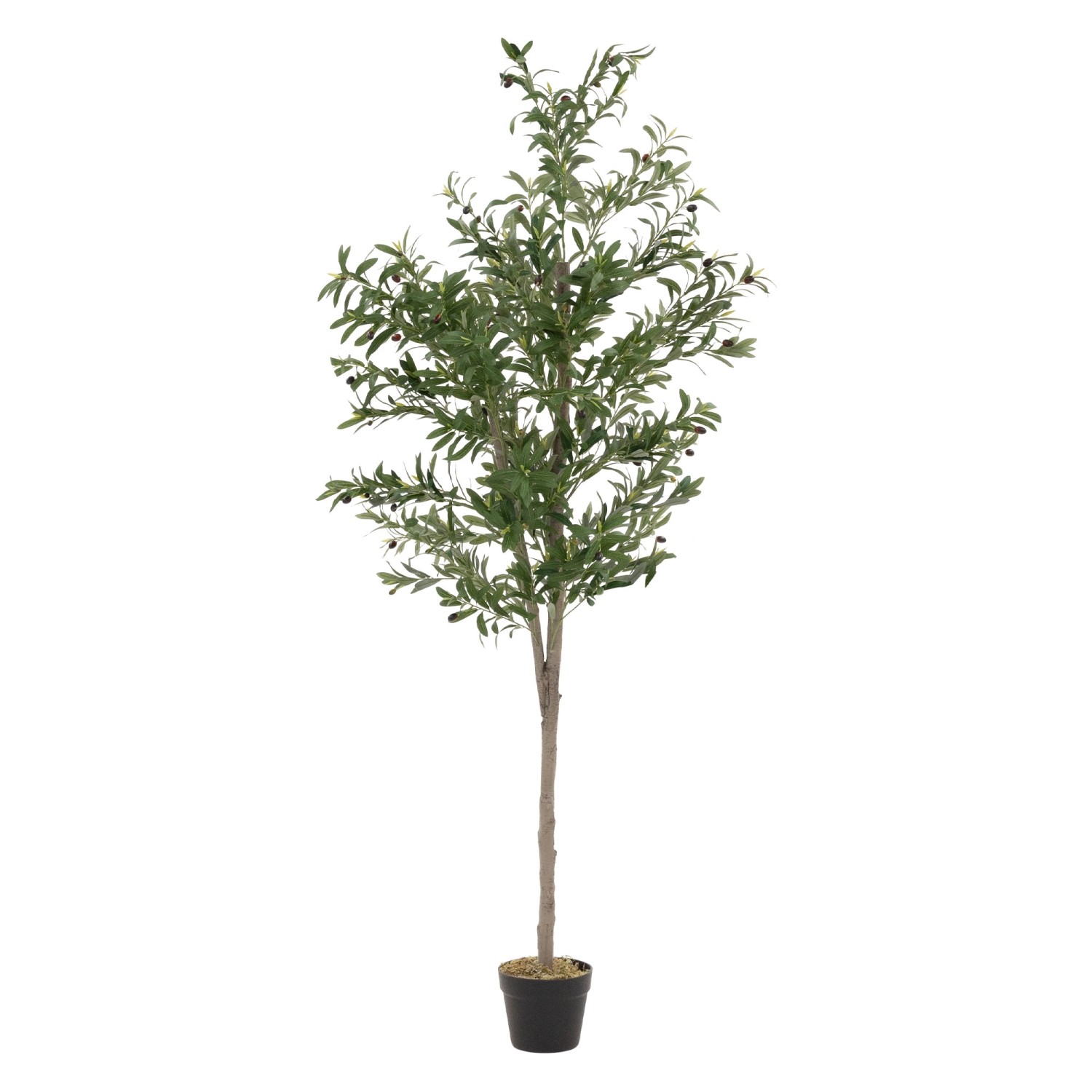 ML-Design künstlicher Olivenbaum, 180 cm, mit Oliven und Naturholzstamm im Topf.