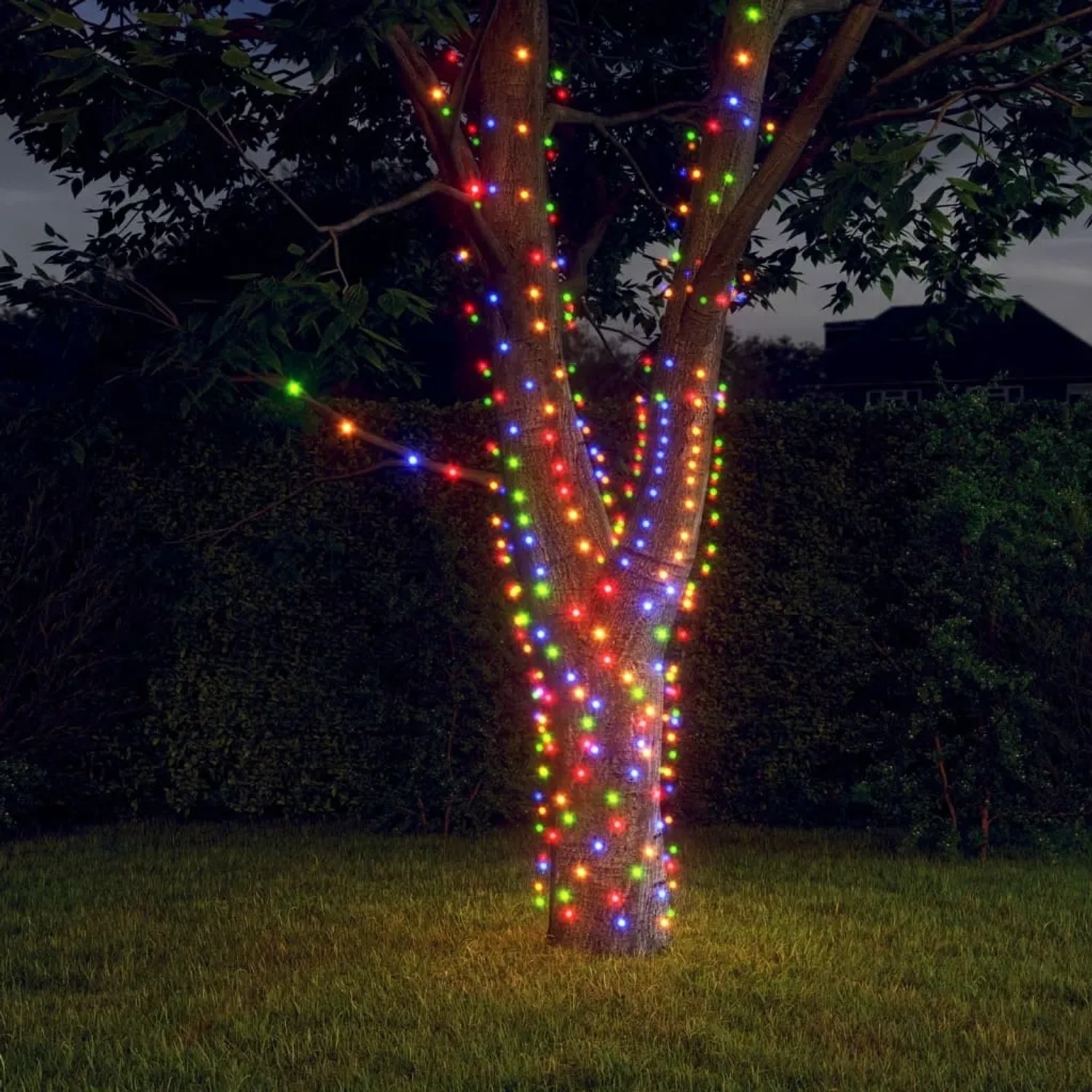 Mehrfarbige Solar-Lichterkette mit 1000 LEDs um einen Baum gewickelt.