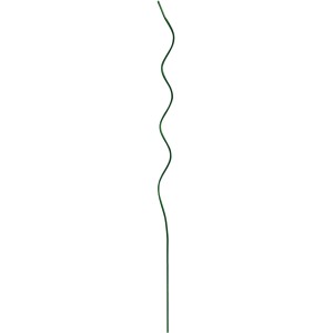 Grüne Bellissa Tomatenspirale, 170 cm, für aufrechtes Tomatenwachstum.