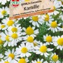 Samenpackung Sperli Kamille Canastilla, Heilpflanze mit weißen Blüten und gelber Mitte.