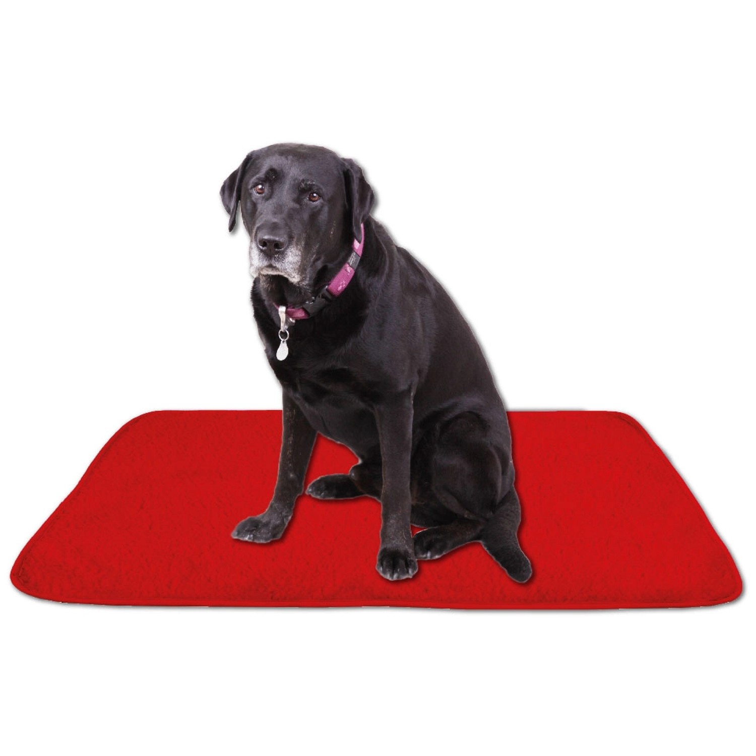 Rote Bestlivings Tierdecke Lammflor 60x80 cm mit sitzendem, schwarzem Hund.