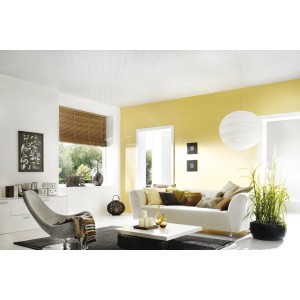 Wohnraum mit weißen Deckenplatten Dublin (50x50 cm) an der Decke.
