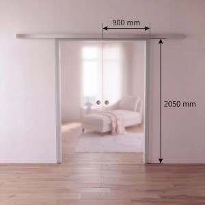 Doorlegro Glasschiebetür-Set Satiniert 2-flügelig 1.025 mm x 2.050 mm Edelstahl