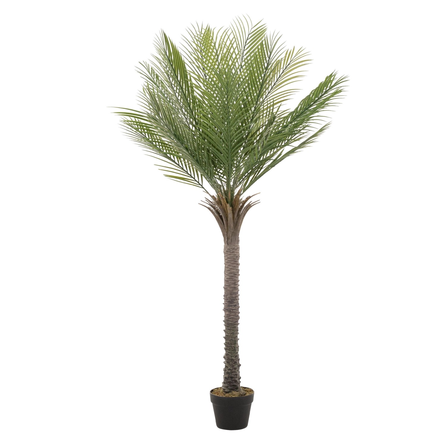 ML-Design Künstliche Palme 150 cm Groß Tropische Kunstpalme im Topf günstig online kaufen