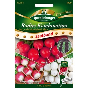 Quedlinburger Radieschen-Kombination Saatband mit 3 Sorten: Saxa 2, halbrot/weiß und Albena.