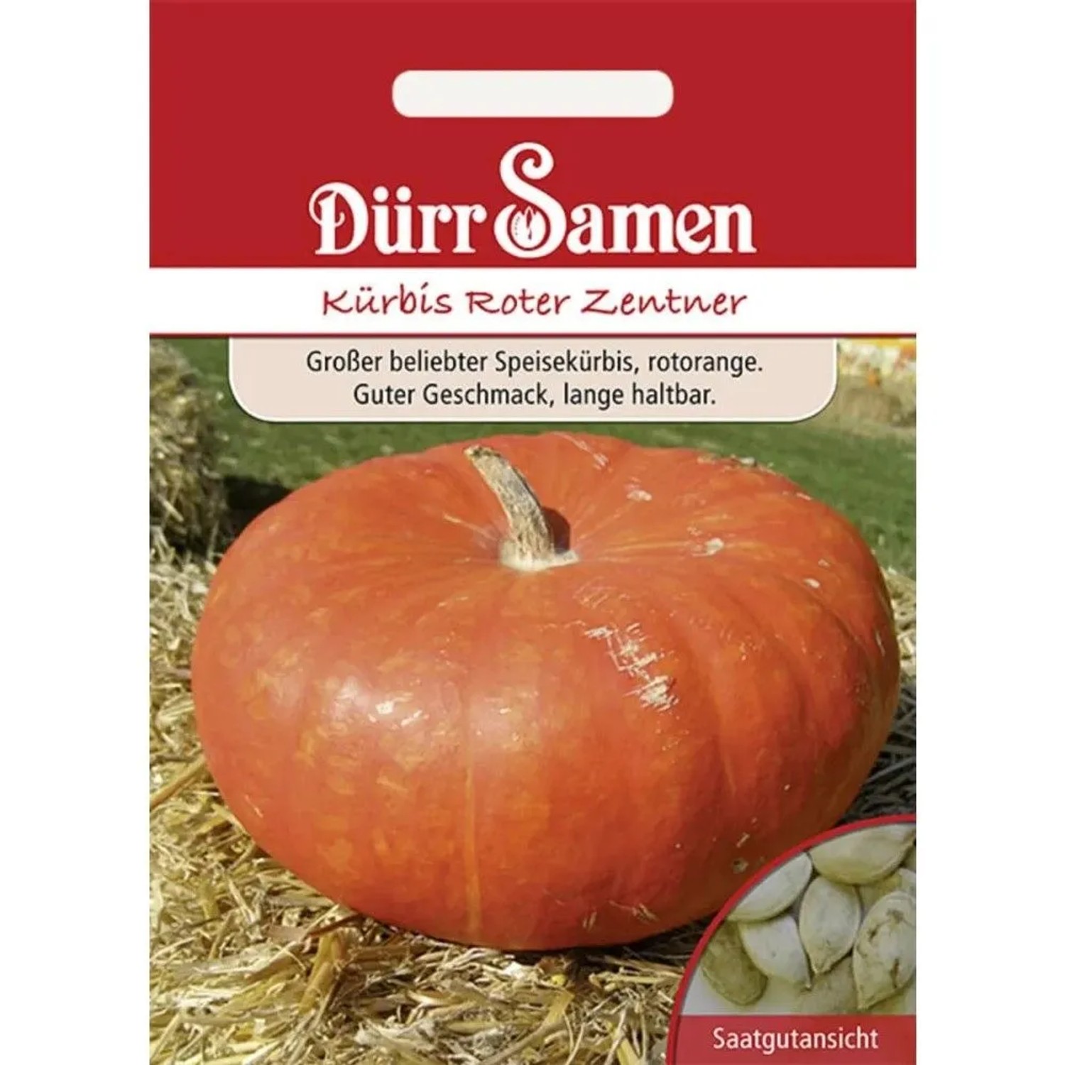 Dürr Samen Kürbis Roter Zentner Saatgut
