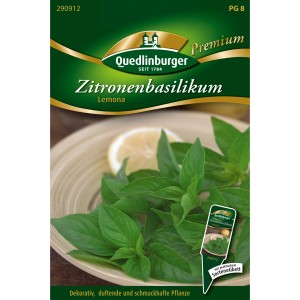 Quedlinburger Zitronen-Basilikum Saatgut: Aromatische Kräutersamen für Garten und Balkon.