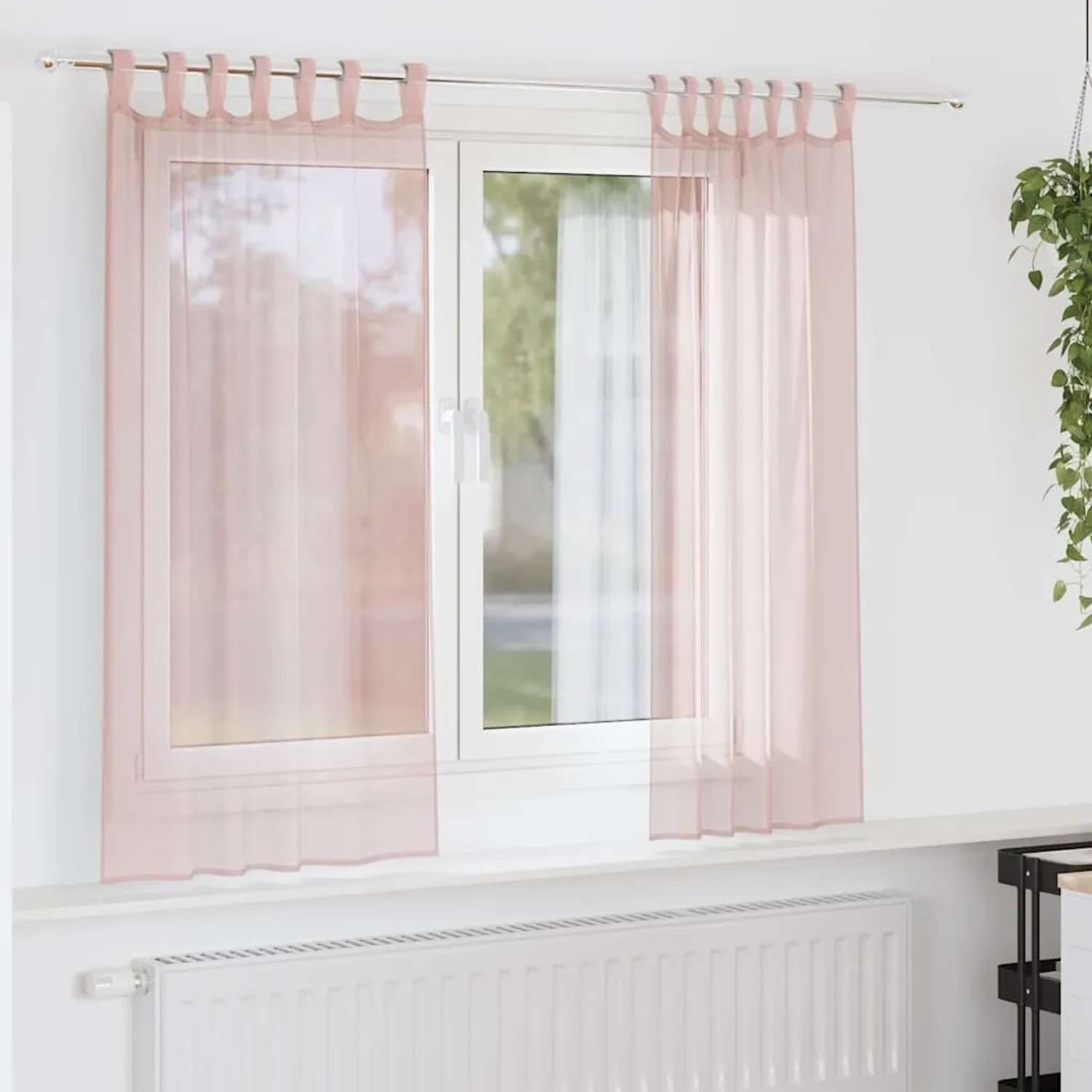 Zwei hellrosa Voile Vorhänge mit Schlaufen am Fenster, halbtransparent, lassen Licht durch. Fenstervorhänge.