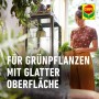 Frau pflegt Grünpflanze mit Compo Blattglanz. Pflanzenstärkung für gesunde, glänzende Blätter.
