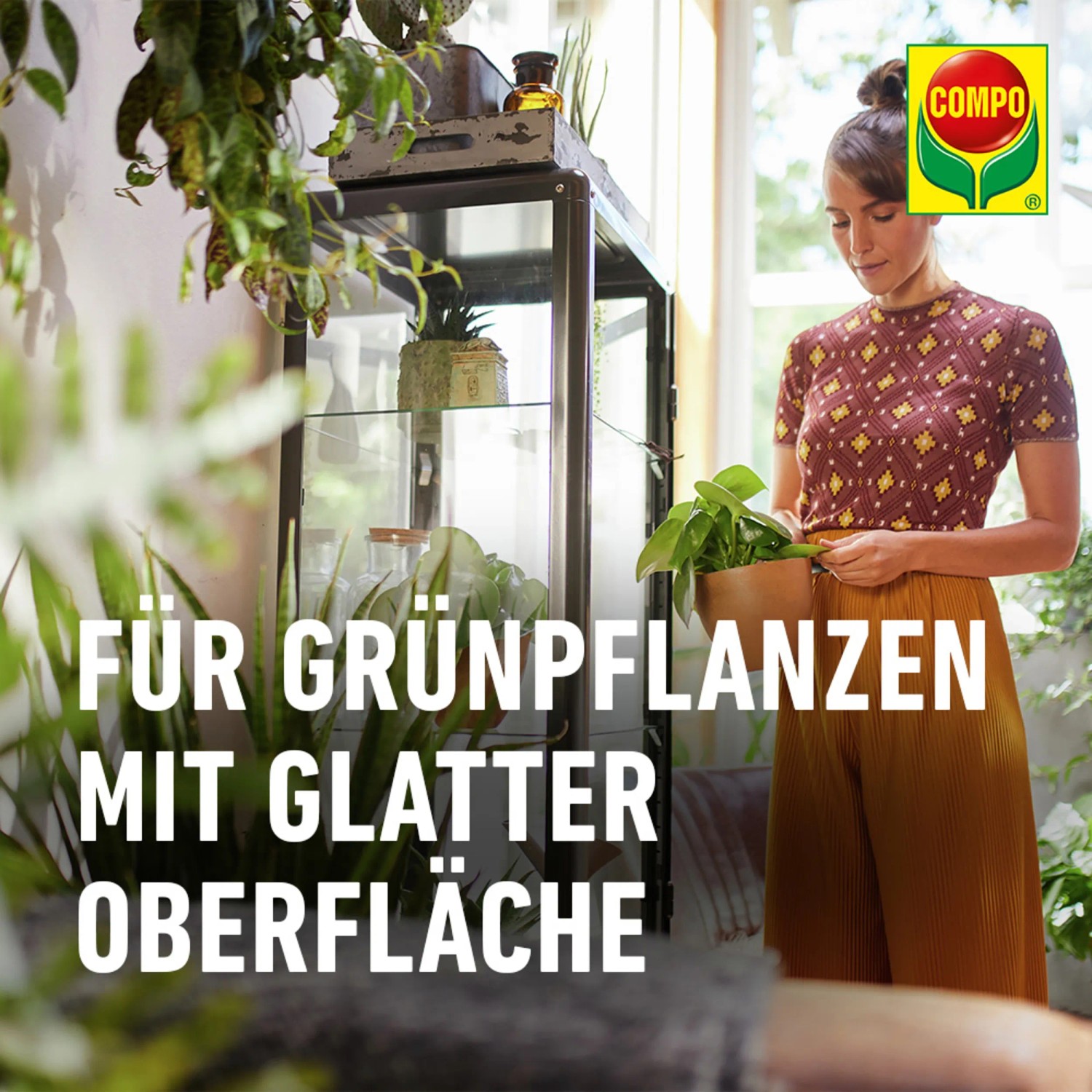 Frau pflegt Grünpflanze mit Compo Blattglanz. Pflanzenstärkung für gesunde, glänzende Blätter.