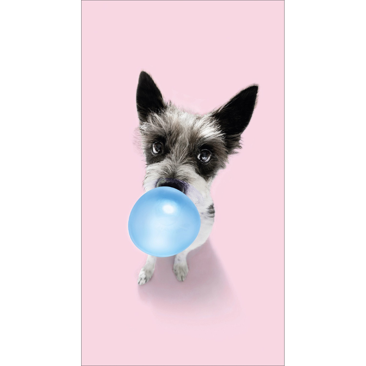 Pro Art Dekopanel Hund Chewing Gum 30 cm x 15 cm günstig online kaufen