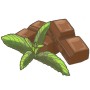 Illustration: Schoko-Minze (Mentha) mit Schokoladenstücken. Küchenkräuter für Desserts.