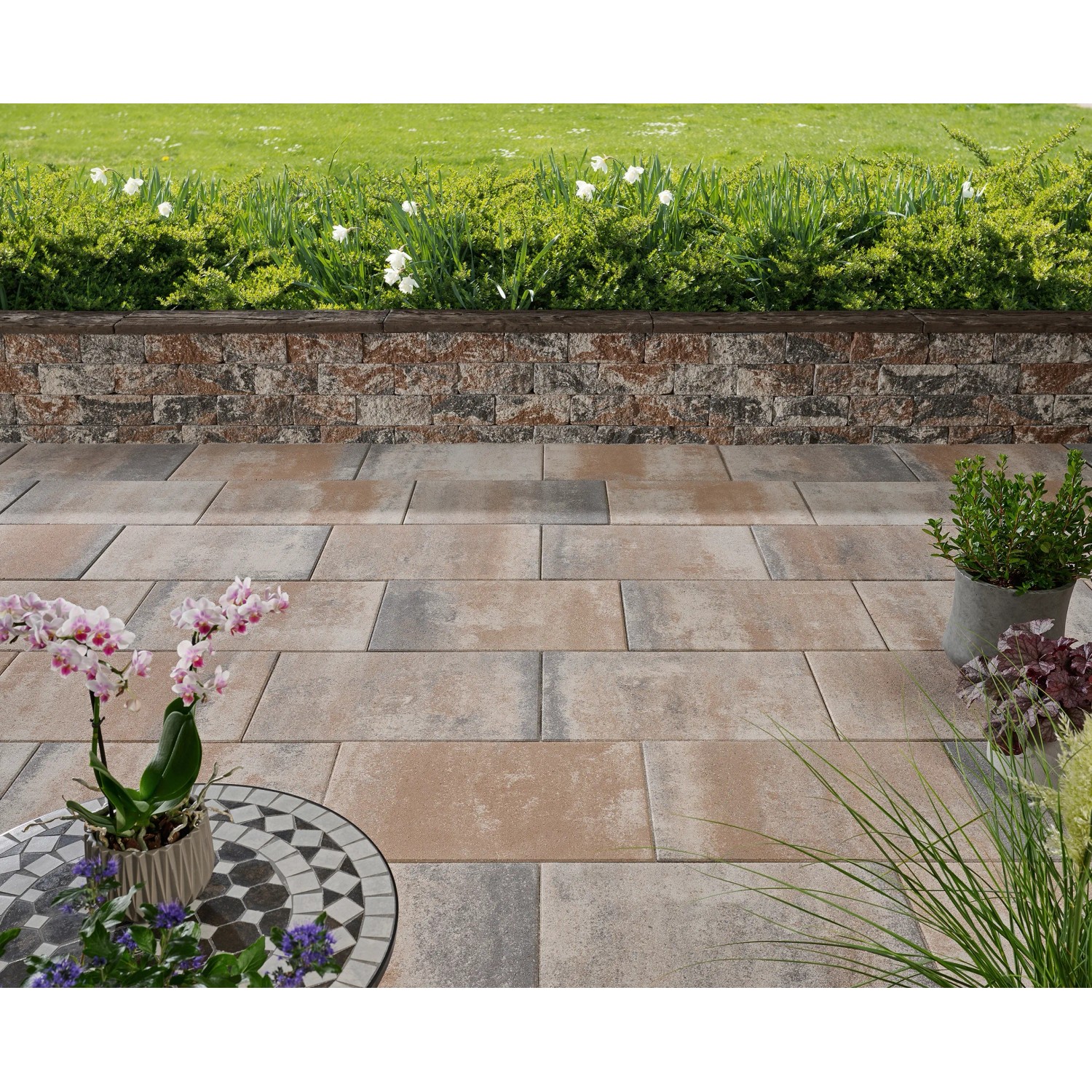 Verlegte Kann Platte Bologna Jura-Nuanciert 60x40x5 cm als Terrassenplatten mit Bepflanzung.