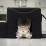 Schwarze Katzenhöhle aus Plüsch mit grauer Katze, die sich genüsslich streckt. Gemütlicher Schlafplatz für Stubentiger.