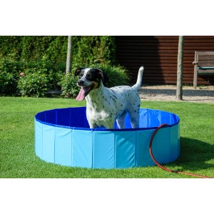 Blauer, runder Dobar Hundepool Gr. M aus Kunststoff für den Garten mit Hund im Wasser.