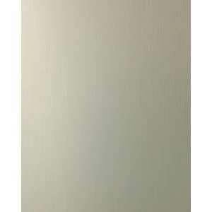 Graues Wandpaneel in Metalloptik Champagne von Wallface, Dekor EyeCatch, 2600x1000x1 mm.