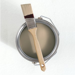Farbeimer mit Pinsel: V&CO Premium-Innenfarbe Waldpilz, matt beige. Bunte Wandfarbe für Innen.
