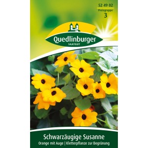 Samenpackung Schwarzäugige Susanne Orange: Kletterpflanze mit leuchtend orangen Blüten und schwarzem Auge.