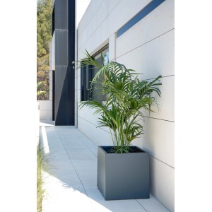Herstera Garden Pflanzkübel Cube, anthrazit, 50x50x100 cm, mit Pflanze vor Hauswand.