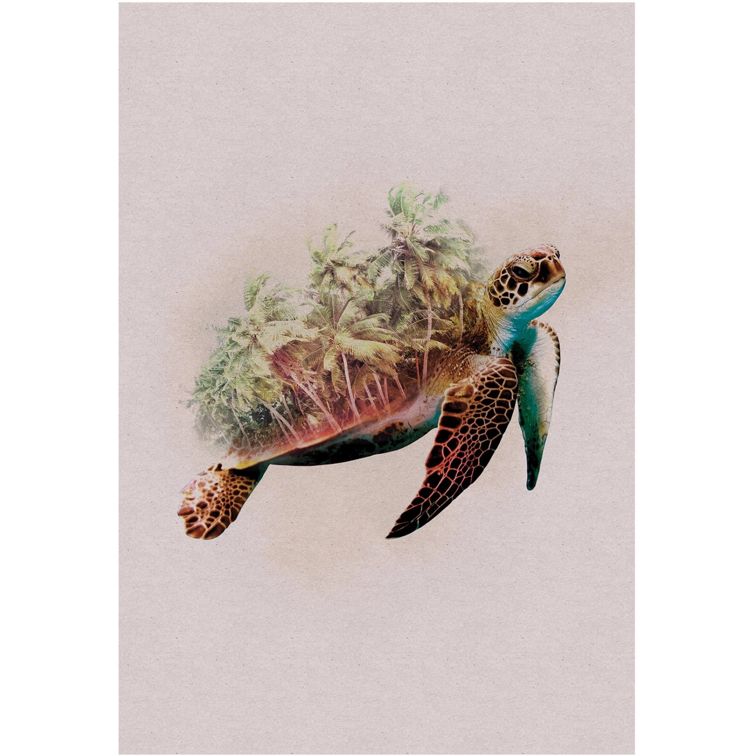 Komar Wandbild Animals Turtle 50 x 70 cm