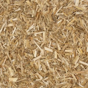 Nahaufnahme von Galamio Miscanthus Mulch, einem hellbraunen Dekormulch aus China Schilf.