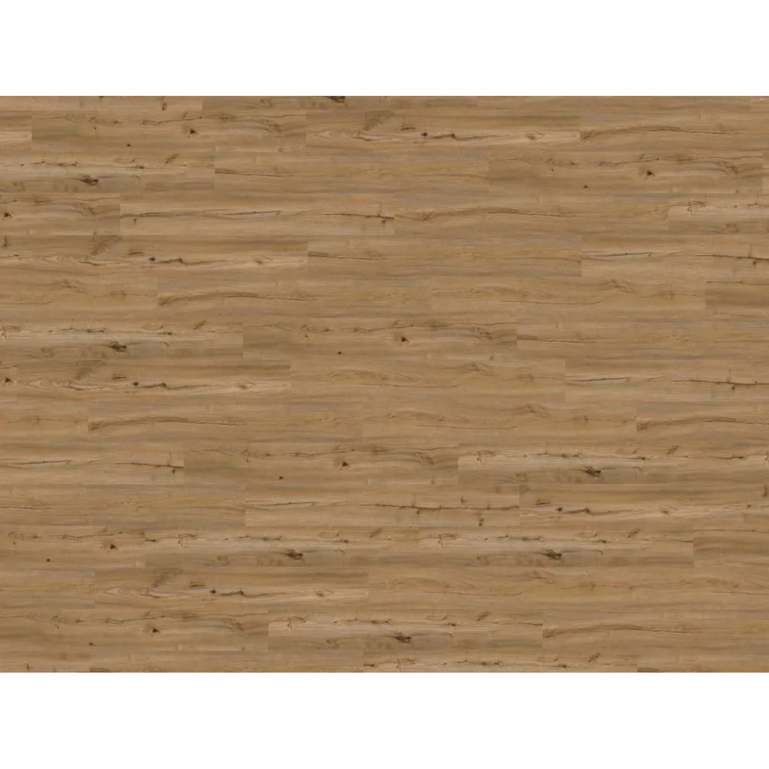WICANDERS Korkboden Naturboden Wood Start Green Design Rustic Canyon Oak