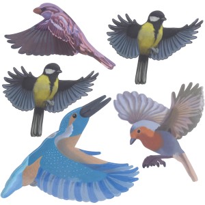 Gardigo Vogel Silhouetten: Bunte Aufkleber heimischer Vögel zur Fenster-Vogelabwehr.