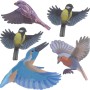 Gardigo Vogel Silhouetten: Bunte Aufkleber heimischer Vögel zur Fenster-Vogelabwehr.