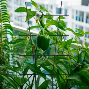 Relaxdays Pflanzenstütze: Schwarze Metall Rankhilfe für Kletterpflanzen wie Paprika im Topf.