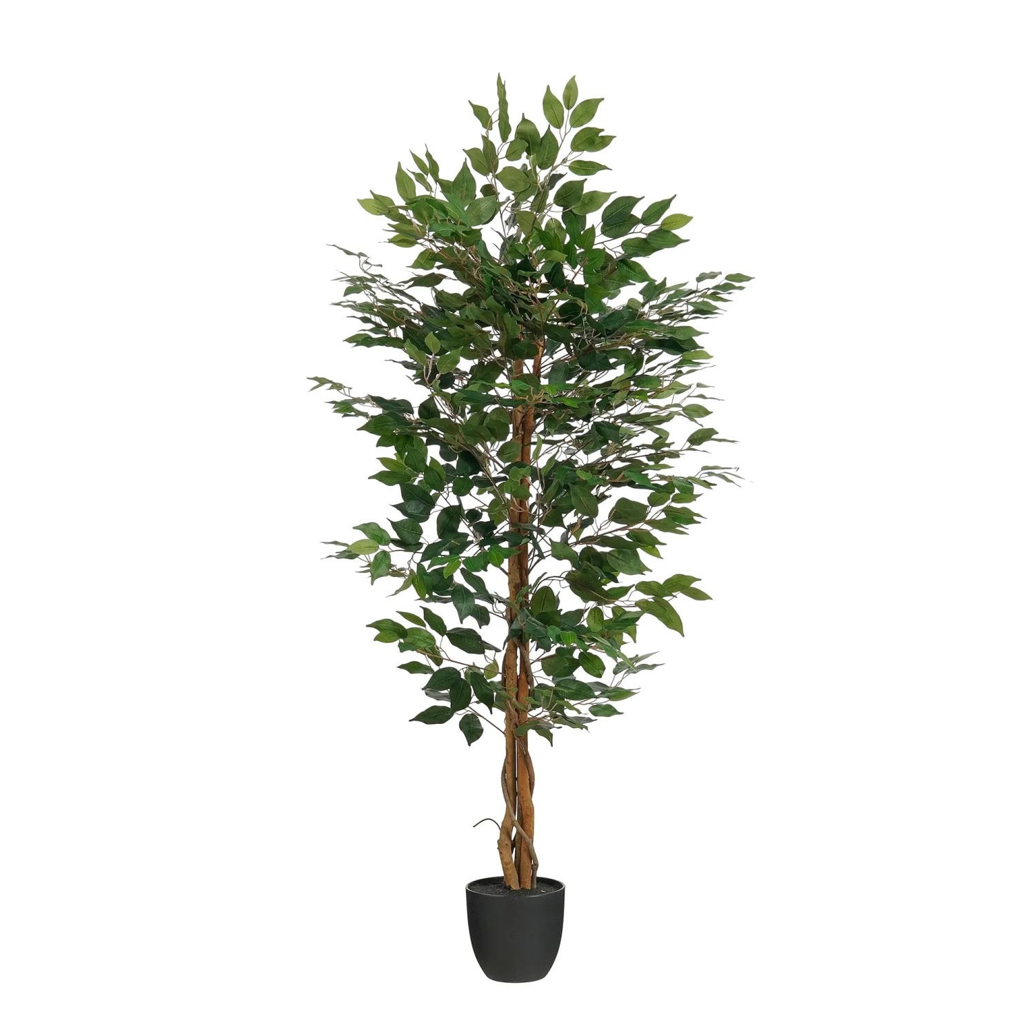 Mica Decorations Kunstpflanze Ficus in Topf Grün Höhe 150 cm kaufen bei OBI