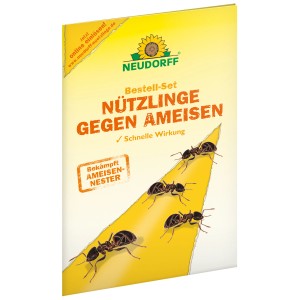 Neudorff Nützlinge gegen Ameisen: Bestell-Set zur biologischen Ameisenbekämpfung mit Nematoden.