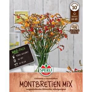 Sperli Montbretien Mix im Glas: Orange, rote & gelbe Blüten, ideal als Schnittblumen.